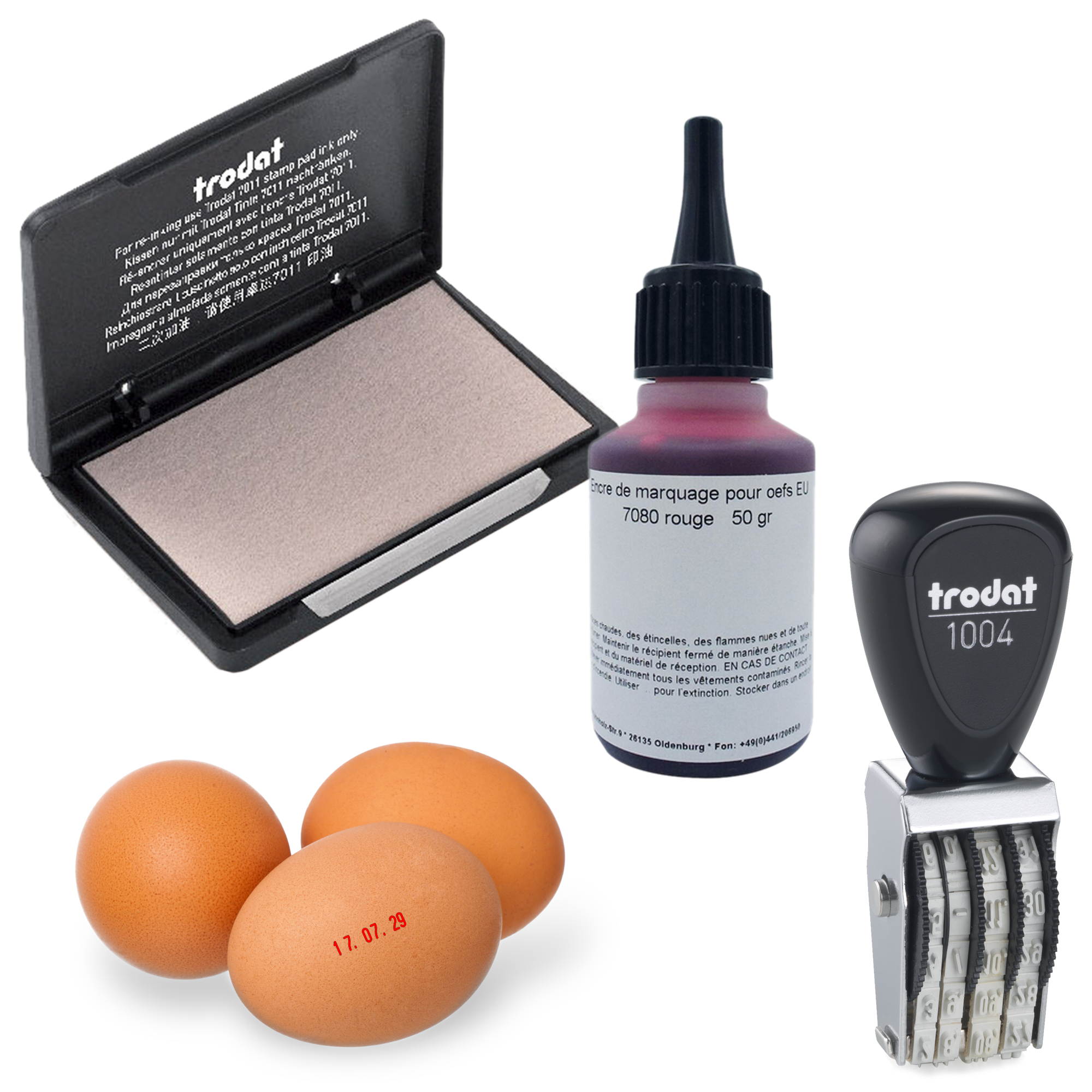 Pack Tampon oeuf dateur