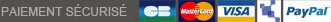Paiement sécurisé CB, MasterCard, Visa, Paiement administratif Chorus, Paypal, Virement, Chèque